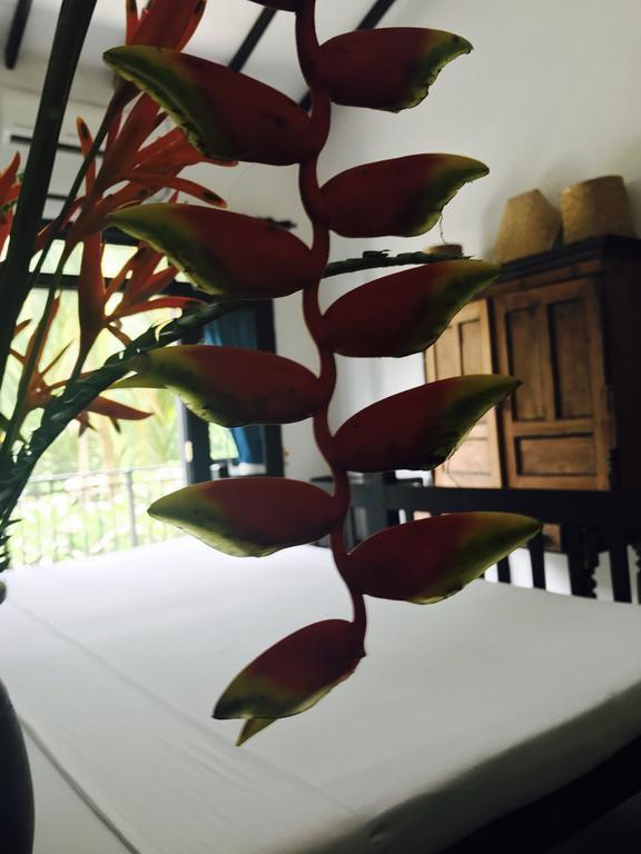 Indika'S Residence Galle Εξωτερικό φωτογραφία